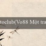 toclub(Vo88 Một trang web cá cược trực tuyến phổ biến)
