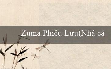 Zuma Phiêu Lưu(Nhà cái Vo88 – Trải nghiệm cờ bạc online đỉnh cao)
